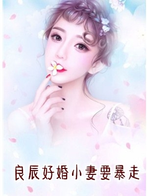 良辰好婚小妻要暴走于小鱼小说by云中月全集阅读