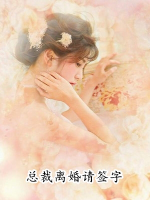 总裁离婚请签字小说 (都市虐恋)夏梦曼靳修哲阅读