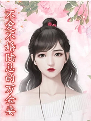 不爱不婚陆总的万金妻苏婉小说 作者墨云归原创全本阅读