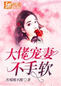 黎九易锦南小说[作者柠檬酸不酸] 大佬宠妻不手软全篇阅读