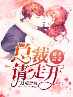 娇美前妻总裁请走开沈嘉霓小说 过境留痕原创全本阅读