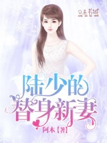 陆少的替身新妻