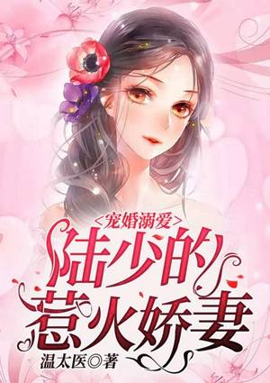 陆琛苏小禾是哪本小说中的主角？
